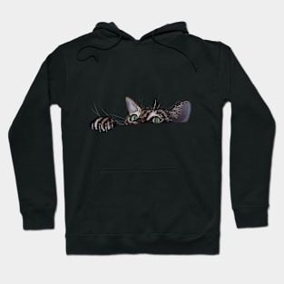 Hang In There Kitty! Hoodie